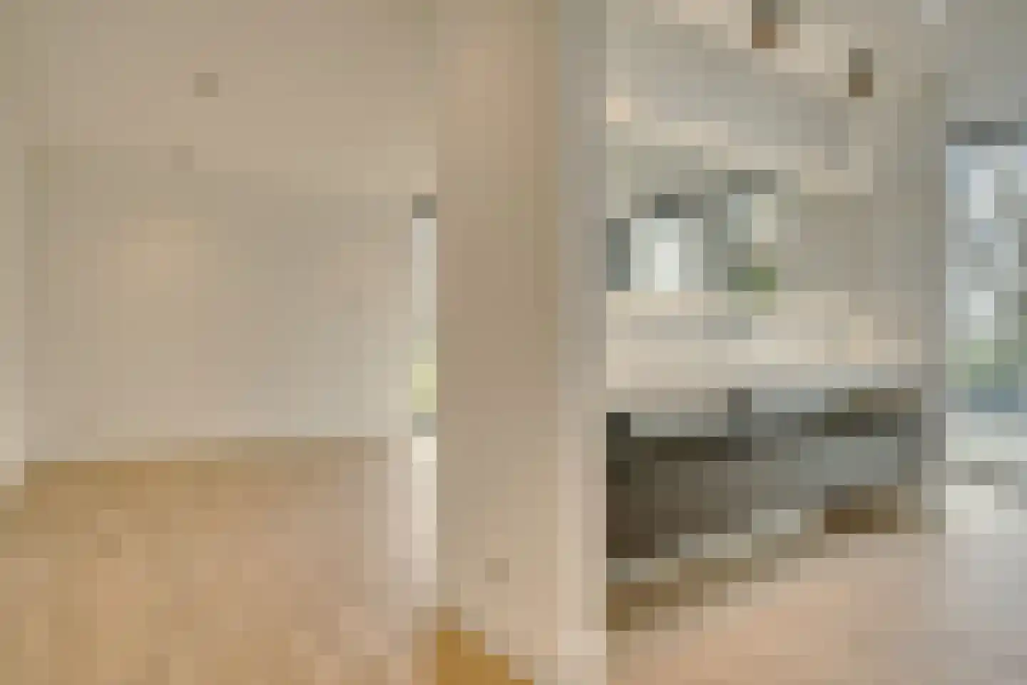 Peppellaan 9 Dordrecht thumbnail 36