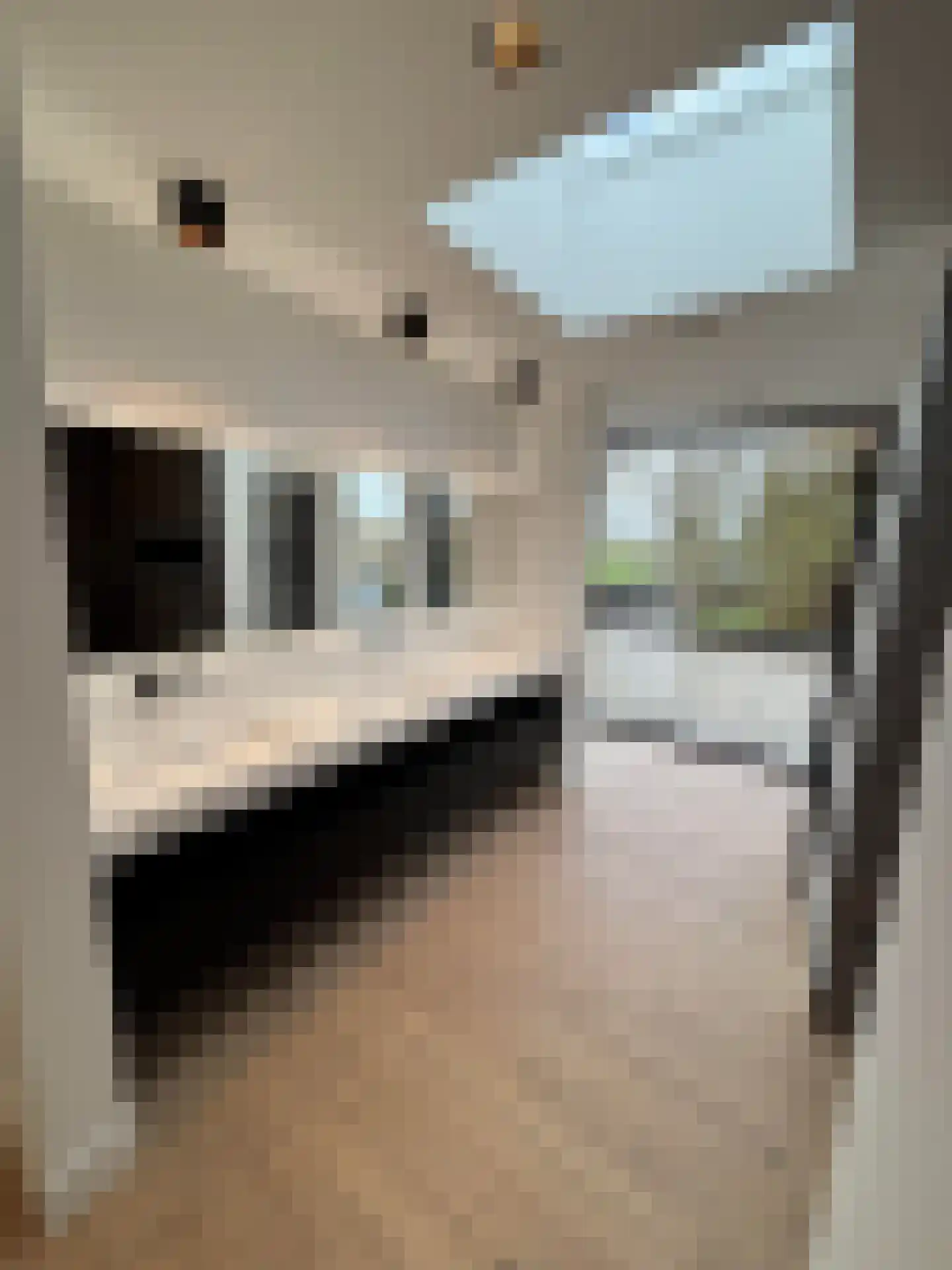 Peppellaan 9 Dordrecht thumbnail 37