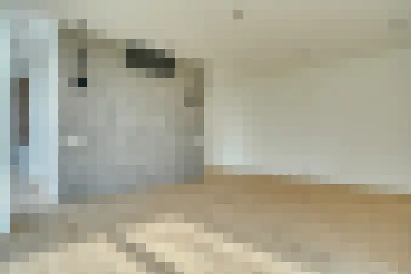 Peppellaan 9 Dordrecht thumbnail 39