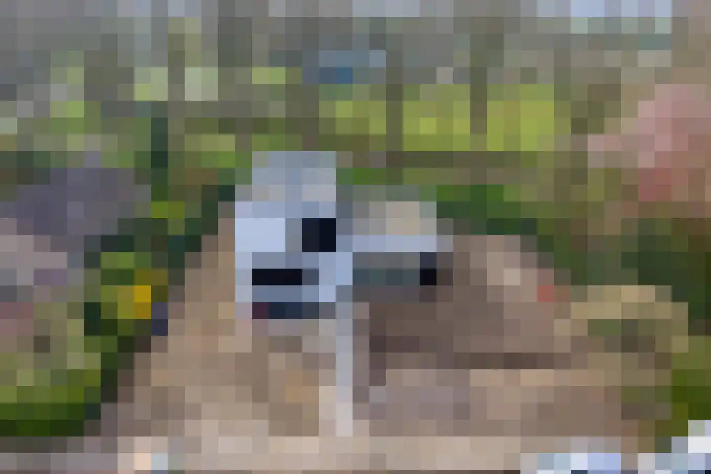 Peppellaan 9 Dordrecht thumbnail 5