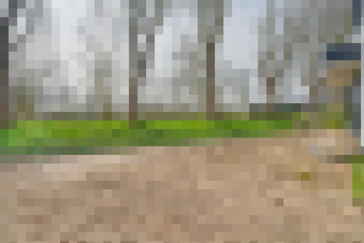 Peppellaan 9 Dordrecht thumbnail 65