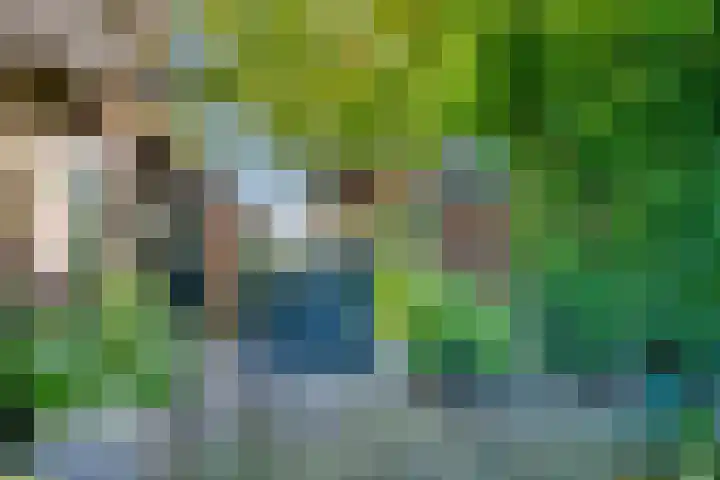 Peppelmansdijk 12 Gaanderen thumbnail 10