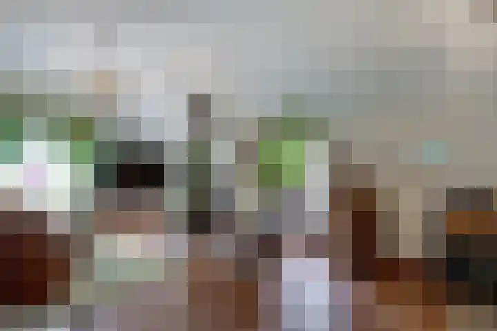 Peppelmansdijk 12 Gaanderen thumbnail 15