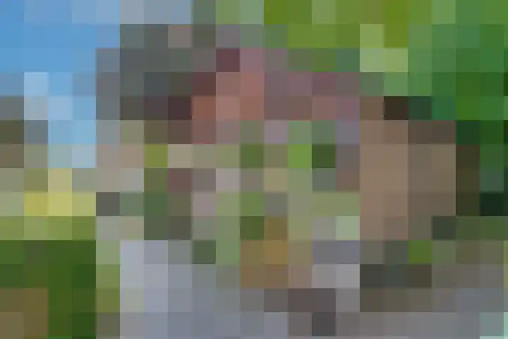 Peppelmansdijk 12 Gaanderen thumbnail 30