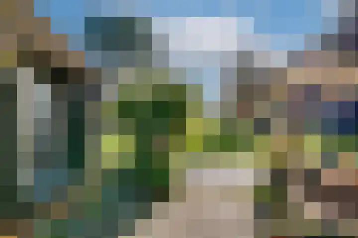 Peppelmansdijk 12 Gaanderen thumbnail 33