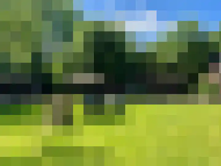 Peppelmansdijk 12 Gaanderen thumbnail 35
