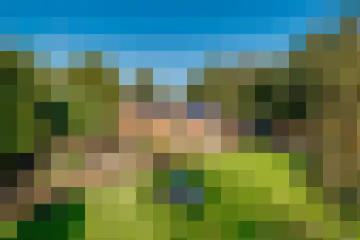 Peppelmansdijk 12 Gaanderen thumbnail 36