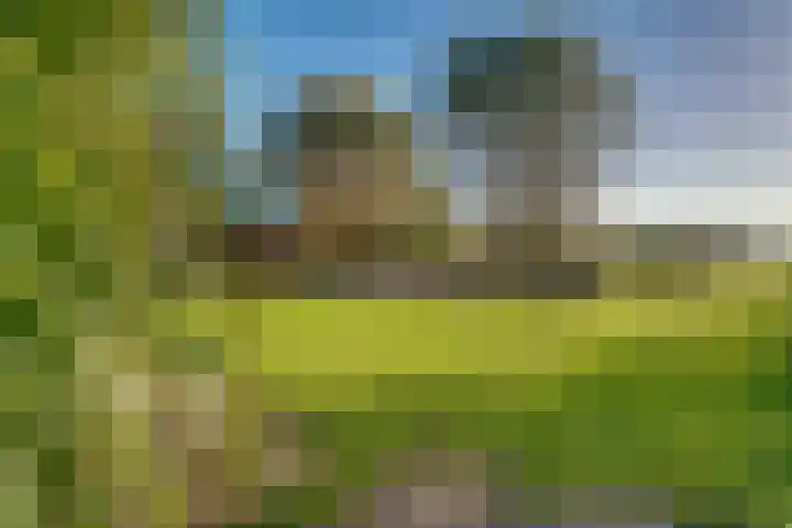 Peppelmansdijk 12 Gaanderen thumbnail 37