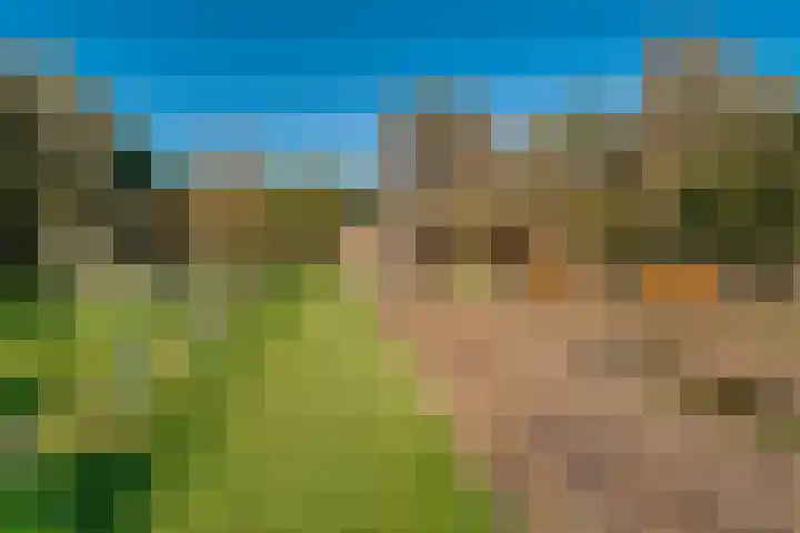 Peppelmansdijk 12 Gaanderen thumbnail 4
