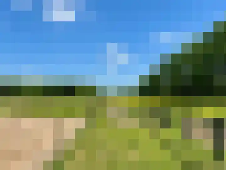 Peppelmansdijk 12 Gaanderen thumbnail 40