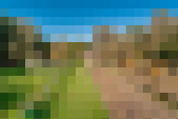 Peppelmansdijk 12 Gaanderen thumbnail 41
