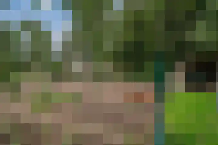 Peppelmansdijk 12 Gaanderen thumbnail 42