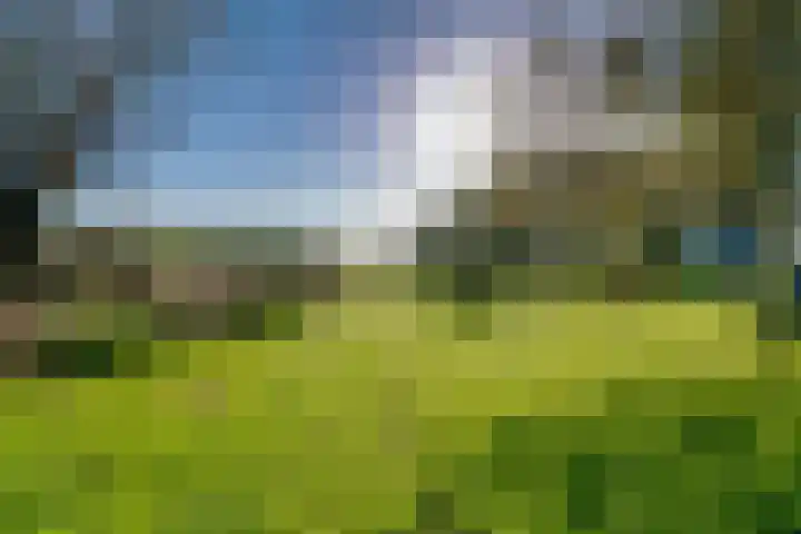 Peppelmansdijk 12 Gaanderen thumbnail 46