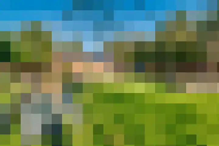 Peppelmansdijk 12 Gaanderen thumbnail 47