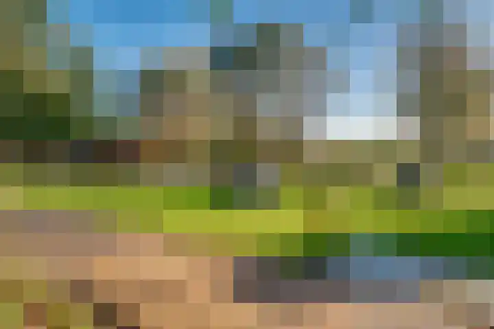 Peppelmansdijk 12 Gaanderen thumbnail 48