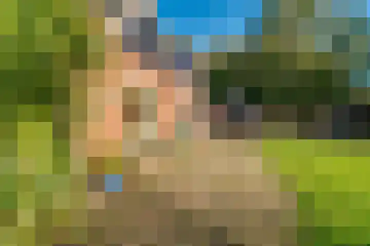Peppelmansdijk 12 Gaanderen thumbnail 5