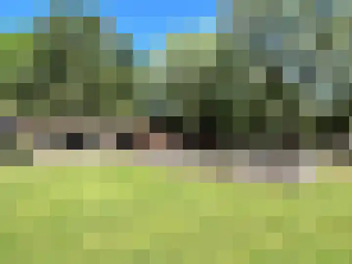 Peppelmansdijk 12 Gaanderen thumbnail 6