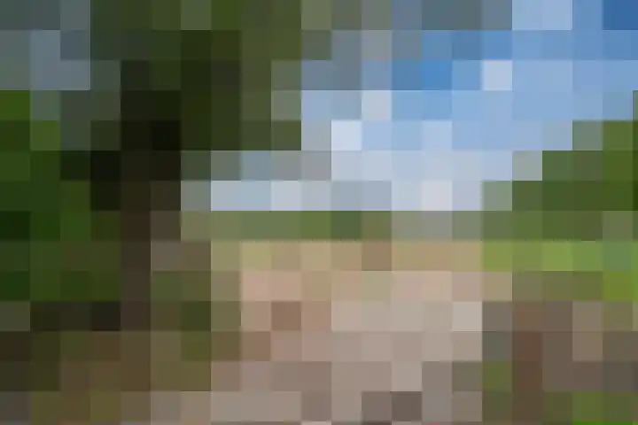 Peppelmansdijk 12 Gaanderen thumbnail 64