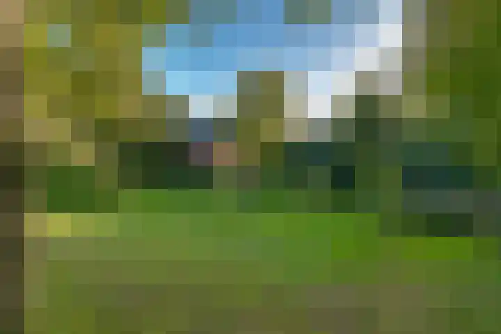 Peppelmansdijk 12 Gaanderen thumbnail 65