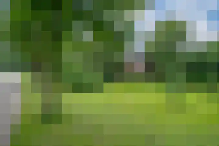 Peppelmansdijk 12 Gaanderen thumbnail 66