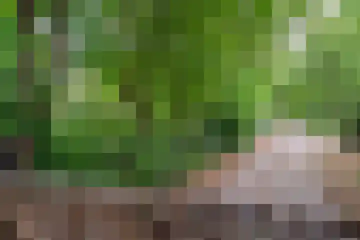 Peppelmansdijk 12 Gaanderen thumbnail 69