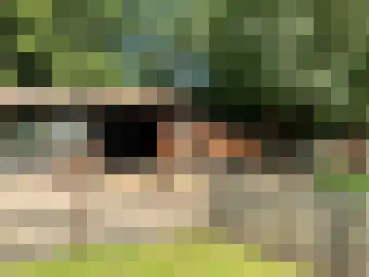 Peppelmansdijk 12 Gaanderen thumbnail 7