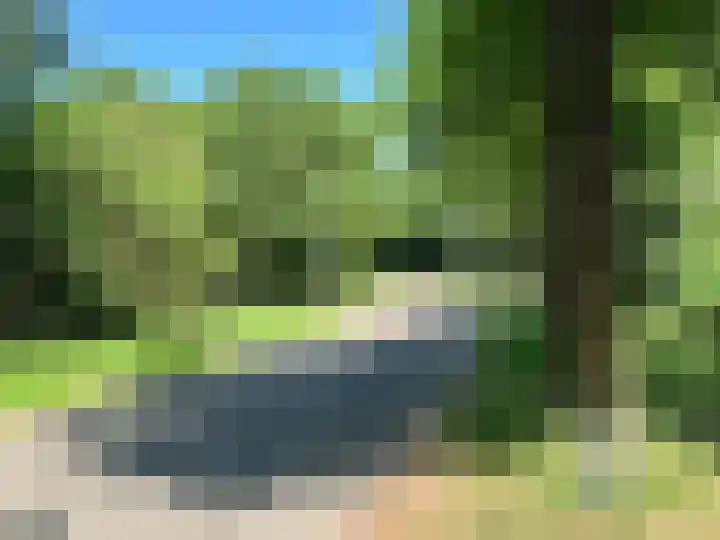 Peppelmansdijk 12 Gaanderen thumbnail 70