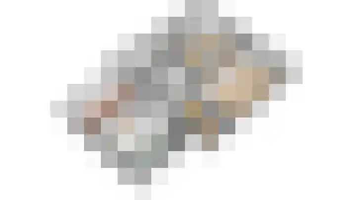 Peppelmansdijk 12 Gaanderen thumbnail 73