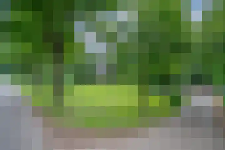Peppelmansdijk 12 Gaanderen thumbnail 9