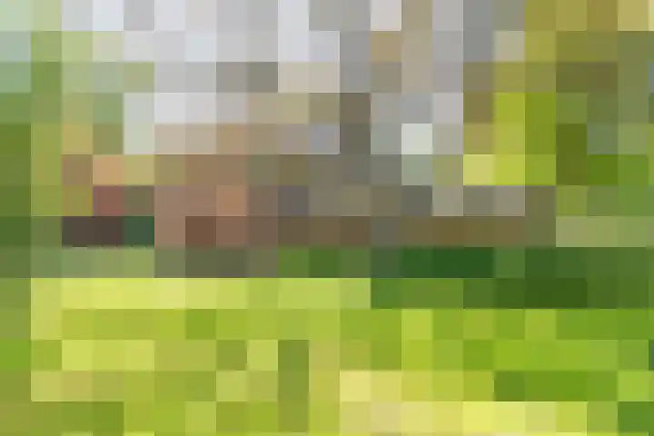 Peppelmansdijk 17 Gaanderen thumbnail 10