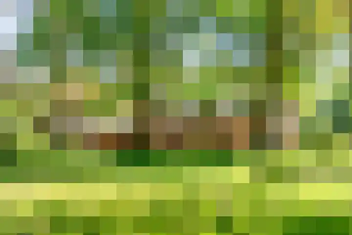 Peppelmansdijk 17 Gaanderen thumbnail 4