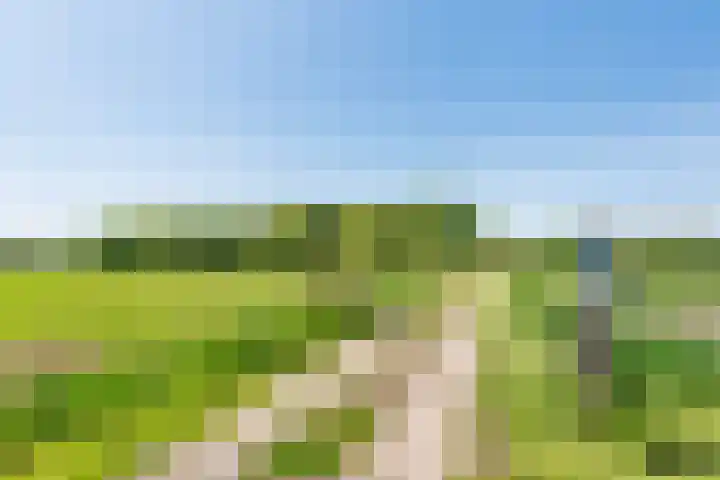 Peppelmansdijk 17 Gaanderen thumbnail 7