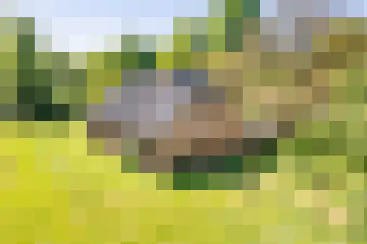 Peppelmansdijk 17 Gaanderen thumbnail 8
