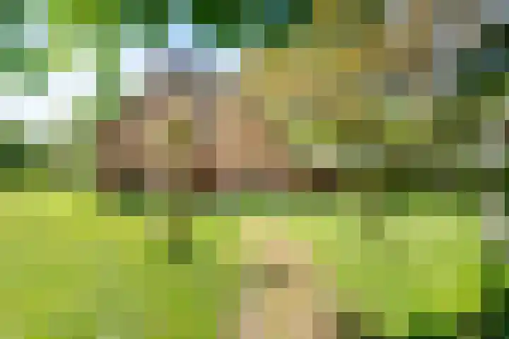 Peppelmansdijk 17 Gaanderen thumbnail 9