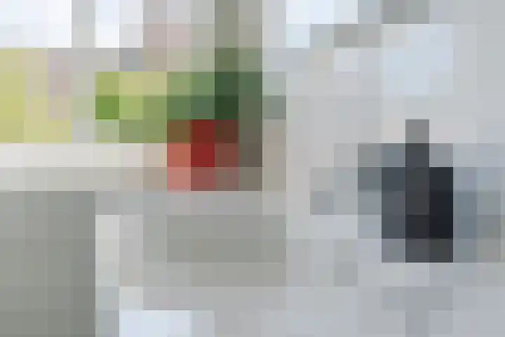 Peppelpas 13 Wehl
