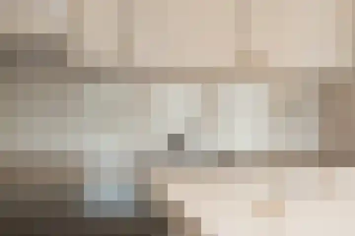 Peppelpas 13 Wehl thumbnail 10