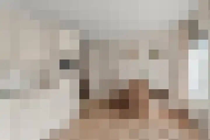 Peppelpas 13 Wehl thumbnail 14