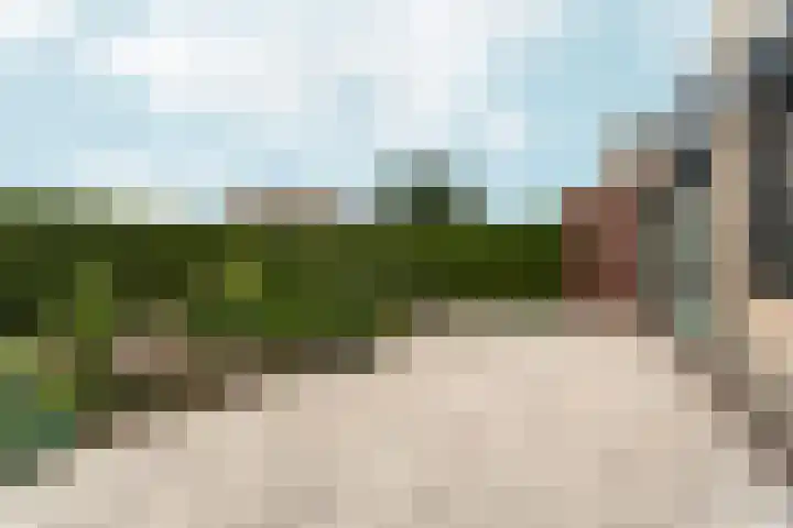 Peppelpas 13 Wehl thumbnail 18