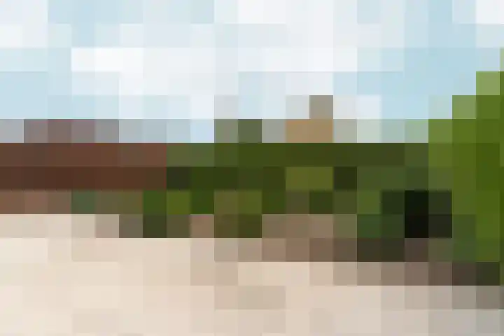 Peppelpas 13 Wehl thumbnail 19