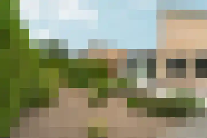 Peppelpas 13 Wehl thumbnail 20