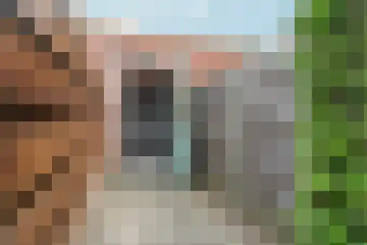 Peppelpas 13 Wehl thumbnail 22