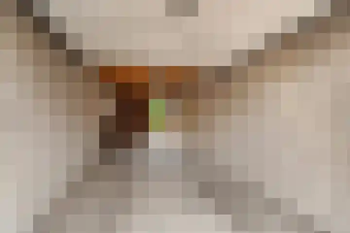 Peppelpas 13 Wehl thumbnail 23