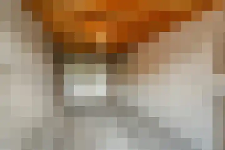 Peppelpas 13 Wehl thumbnail 24