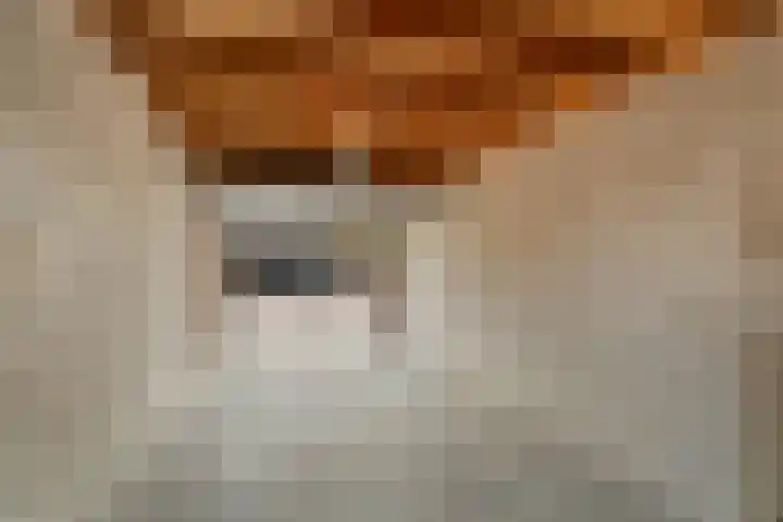 Peppelpas 13 Wehl thumbnail 25