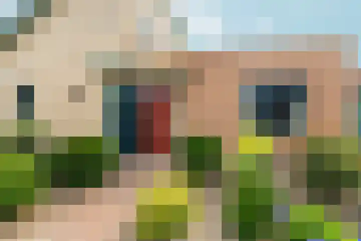 Peppelpas 13 Wehl thumbnail 27