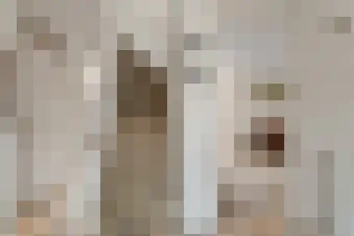 Peppelpas 13 Wehl thumbnail 36