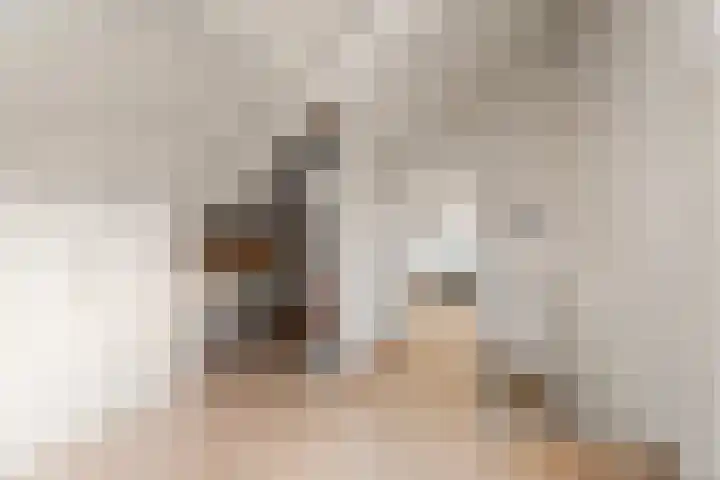 Peppelpas 13 Wehl thumbnail 37
