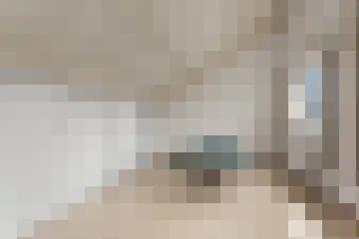 Peppelpas 13 Wehl thumbnail 38