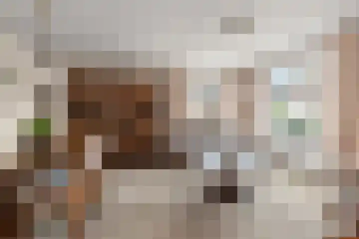 Peppelpas 13 Wehl thumbnail 4