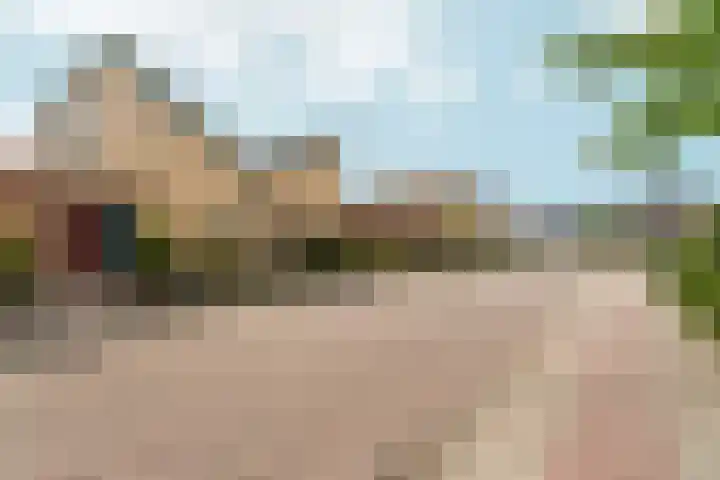 Peppelpas 13 Wehl thumbnail 43